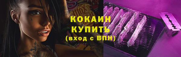 тгк Богородицк