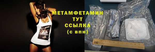 прущие грибы Богородск