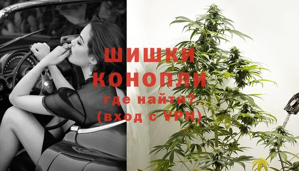 прущие грибы Богородск