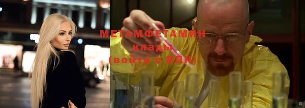 прущие грибы Богородск