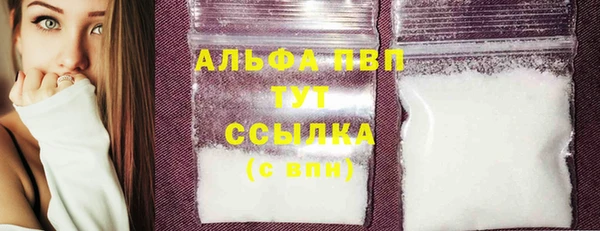прущие грибы Богородск