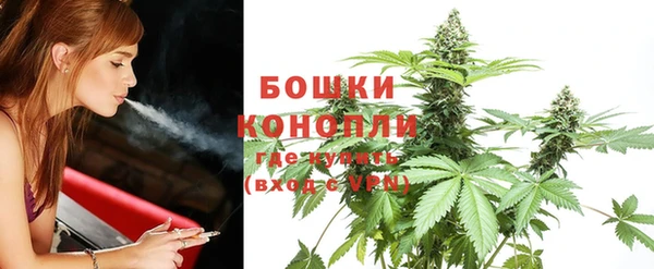 тгк Богородицк