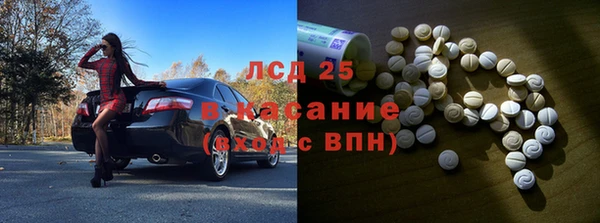 прущие грибы Богородск