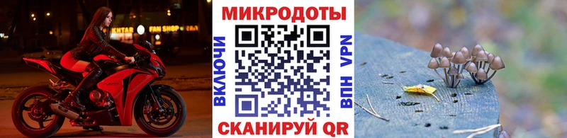 Псилоцибиновые грибы мухоморы даркнет клад Дубна